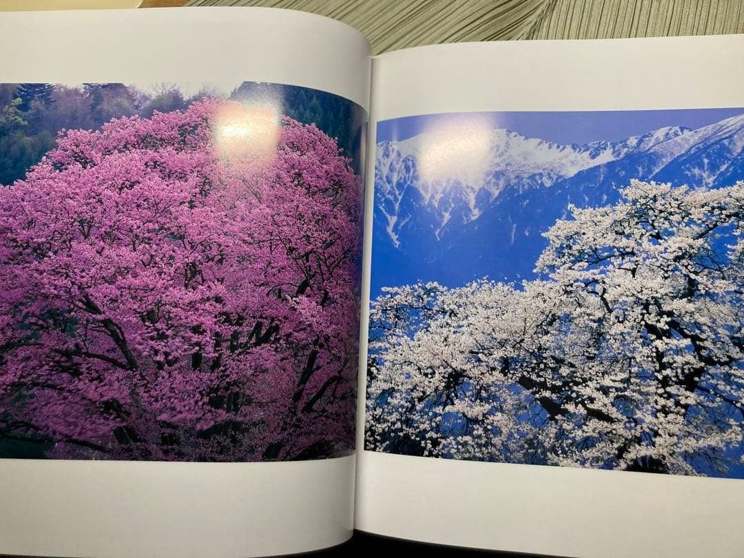 竹内敏信　天地(あめつち)サイン入り貴重作品集