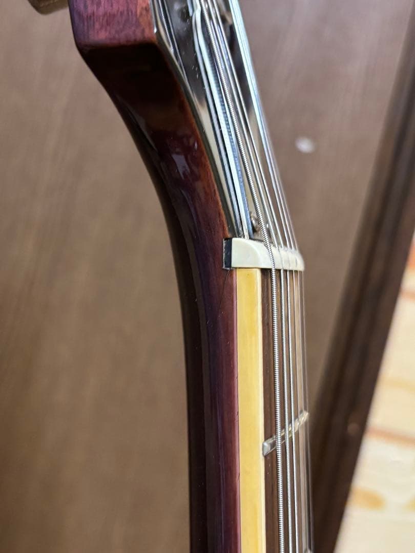 Epiphone Les Paul Standard紫