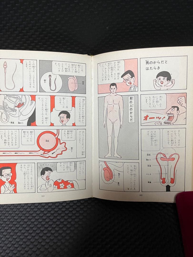 人体の神秘　なぜなぜ理科学習漫画９　集英社
