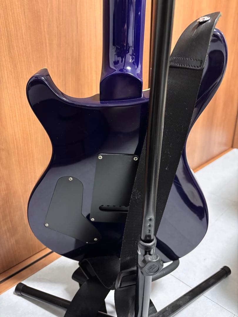ギター Paul Reem Smith SE Standard 24