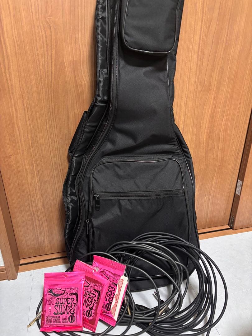 ギター Paul Reem Smith SE Standard 24