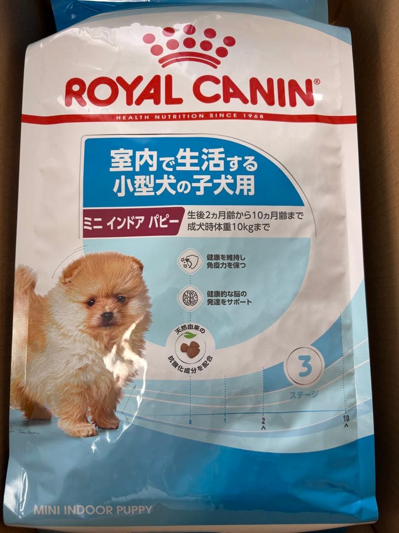 【新品】 CANIN ミニインドアパピー 2kg 2袋セット合計4kg