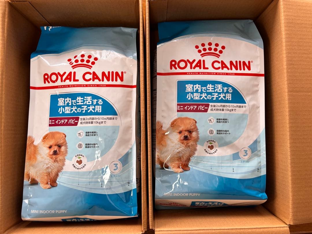 【新品】 CANIN ミニインドアパピー 2kg 2袋セット合計4kg