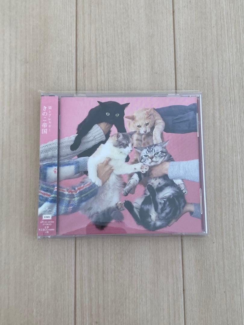 きのこ帝国　アルバム　5枚セット