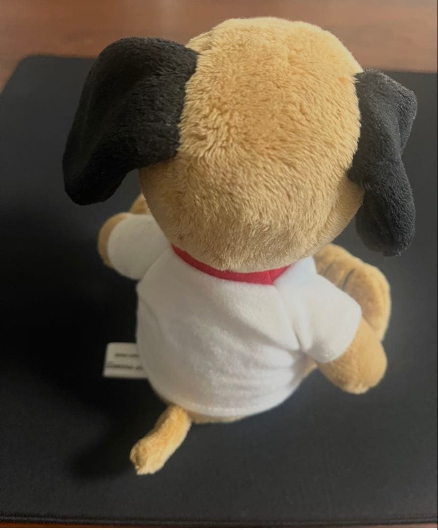ハワイ限定 PEANUTS 日焼け スヌーピー ぬいぐるみ moni モニ