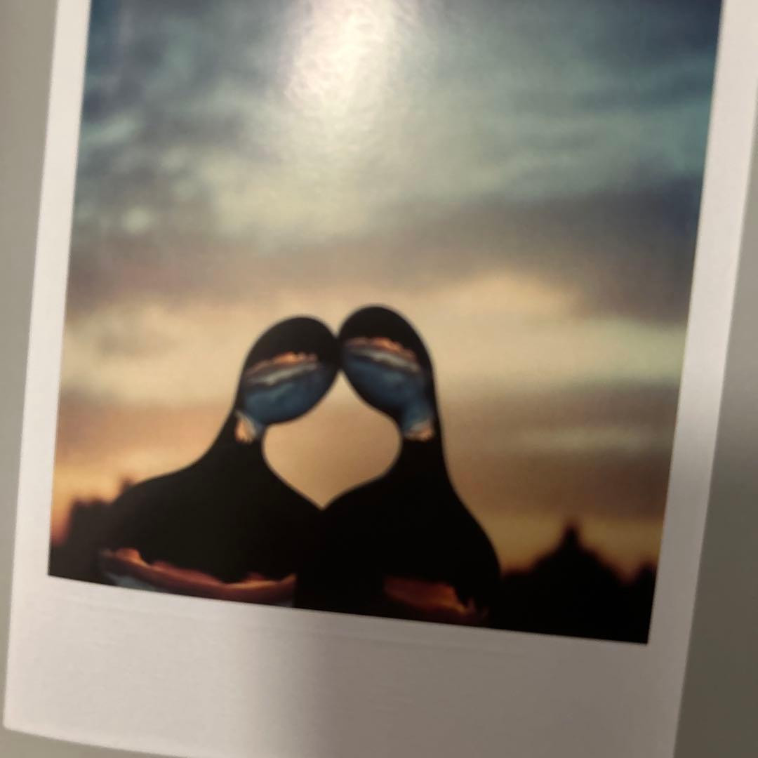 アンドレ・ケルテス作品集『The Polaroids』