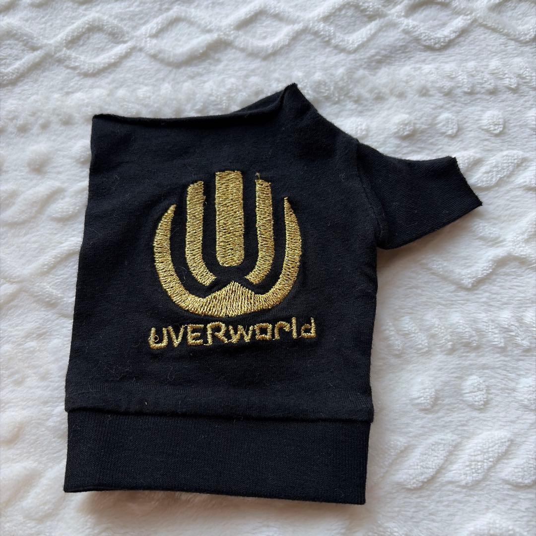 UVERworld グローブ 手袋 ゴールド ツアー ライブ グッズ 希少 レア