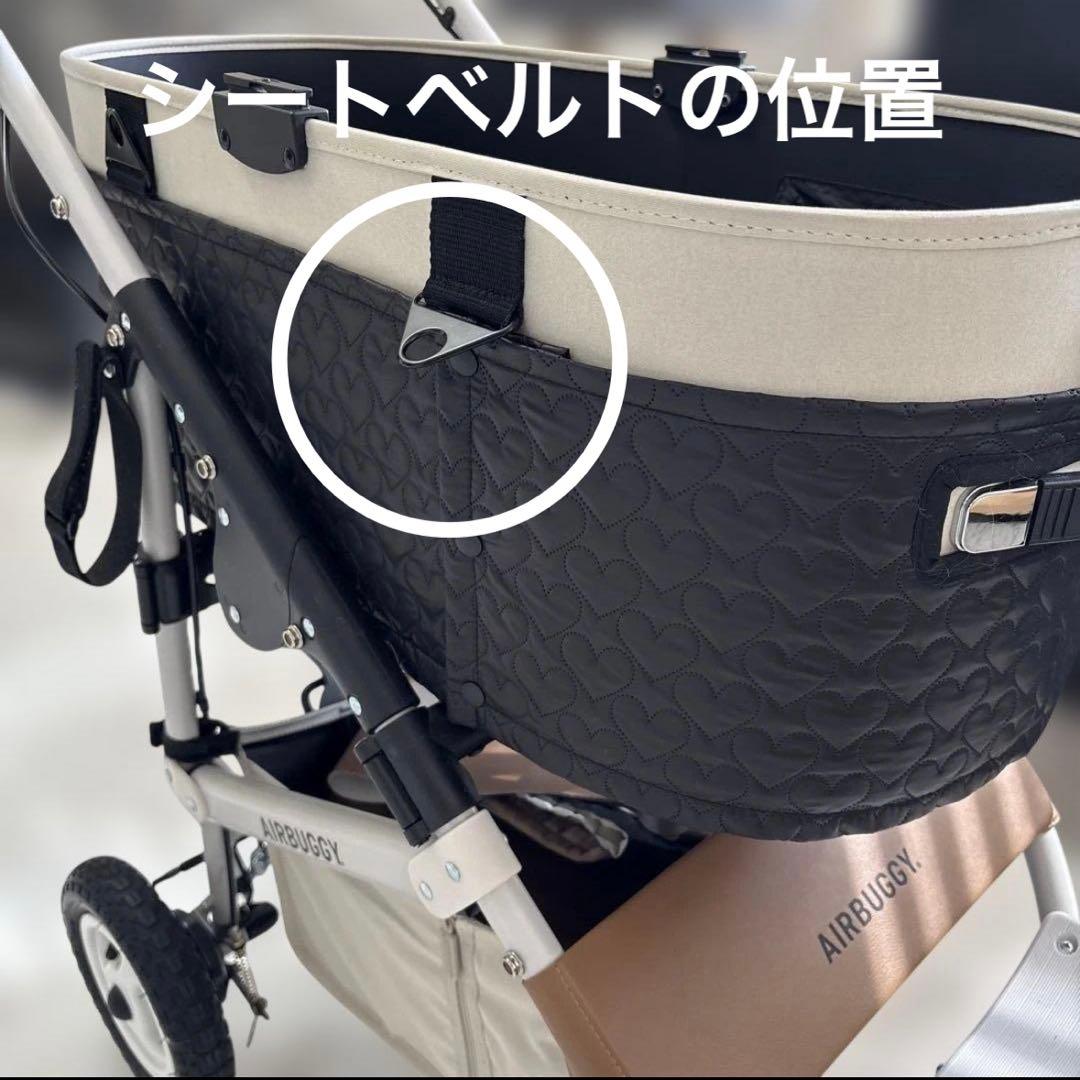 シ〜リオ様　確認済み※レギュラーサイズ、全面カバー