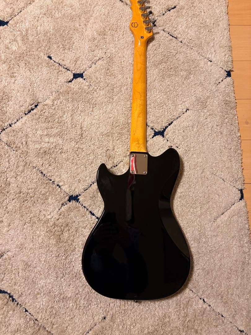 G&L Tribute Series Fallout ギター ソフトケース付き
