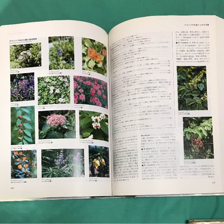 小学館 園芸植物大事典 コンパクト版