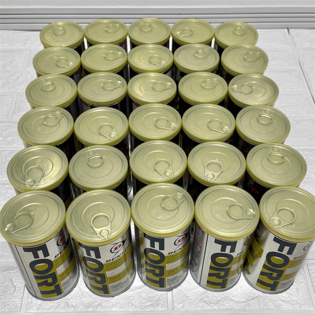 DUNLOP(ダンロップ)FORT(フォート)[2個入]1箱(30缶/60球)