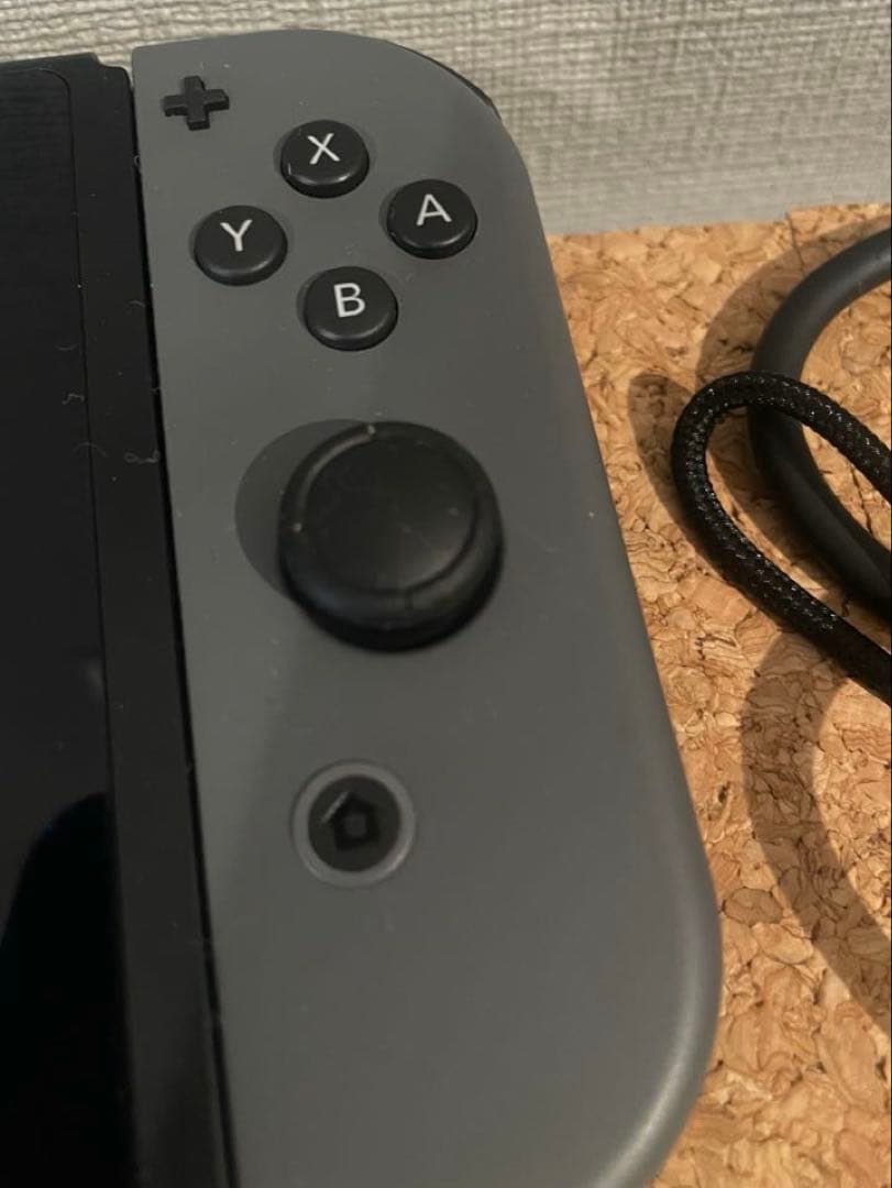 Nintendo Switch 本体 グレー（付属品＆純正ケース付き）