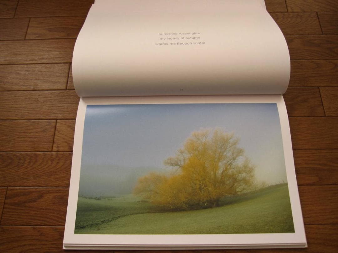 LIGHT MOODS SOUTH  小松幹直 Mikinobu Komatsu