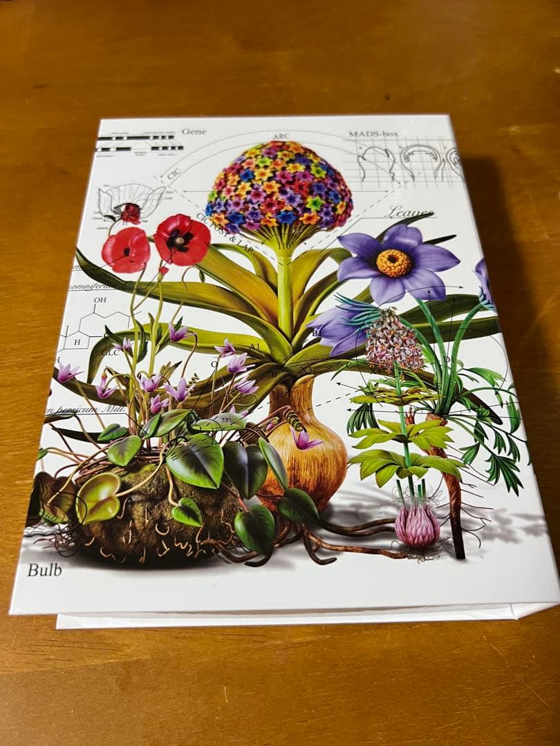 最終値下げ 限定盤ゆず図鑑 Visual Art Box