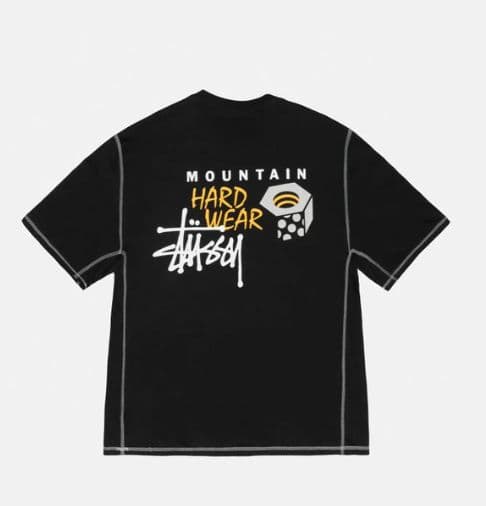 貴重なSTUSSY×MOUNTAIN HARDWEARコラボTシャツ!!
