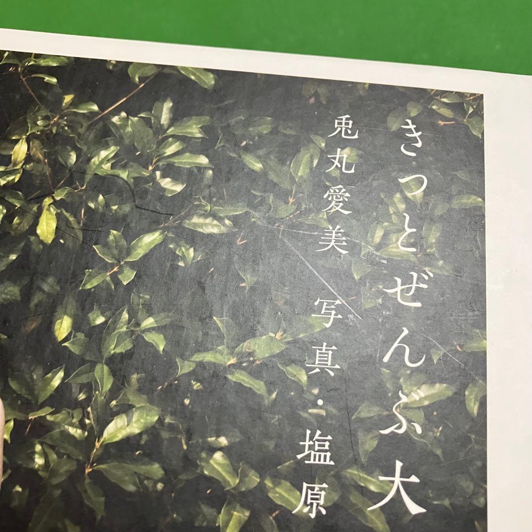 兎丸愛美 × 塩原洋 写真集2冊セット + 非売品フォトプリント