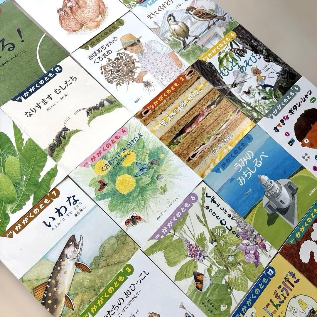 月刊かがくのとも　絵本シリーズ 全26冊