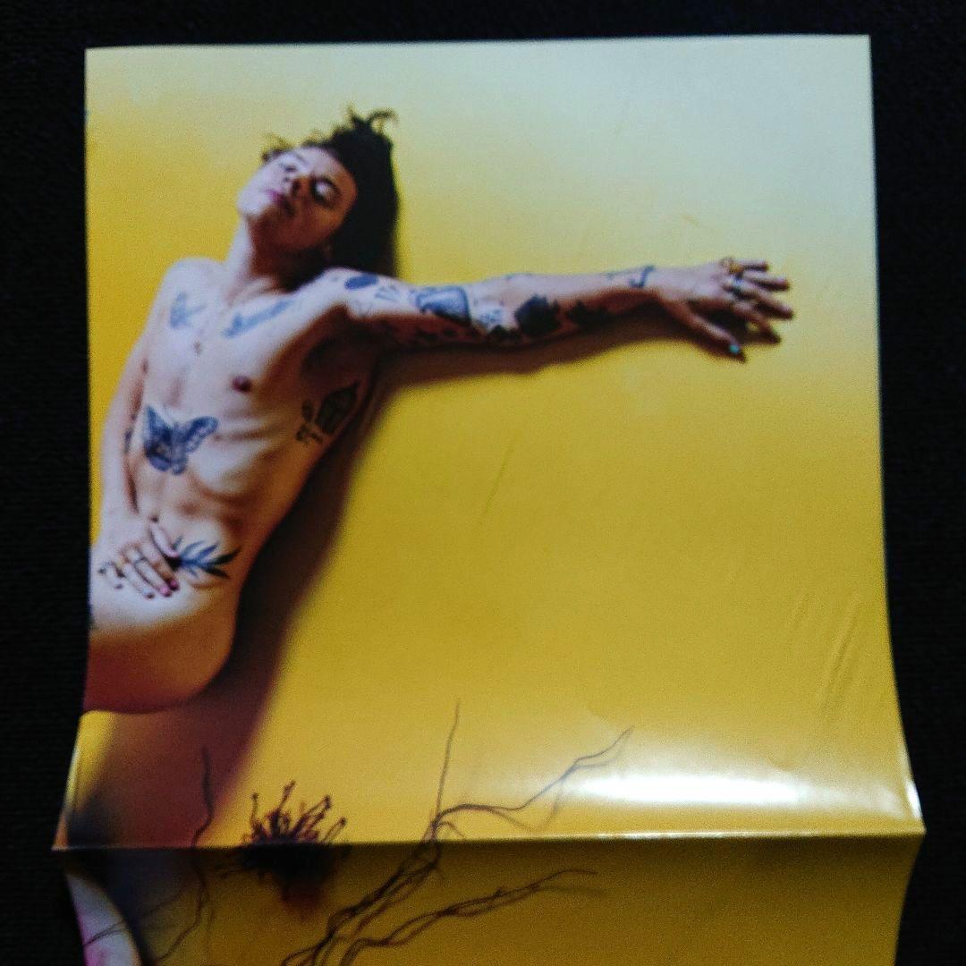 Harry Styles – Fine Line・2019 Eu, 2 x LP