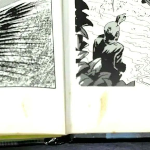 《希少》The Incredible Hulk Annual 1979《英語版》