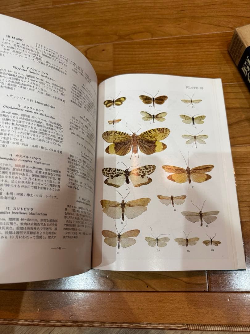 原色昆虫大図鑑　III 朝比奈正二郎