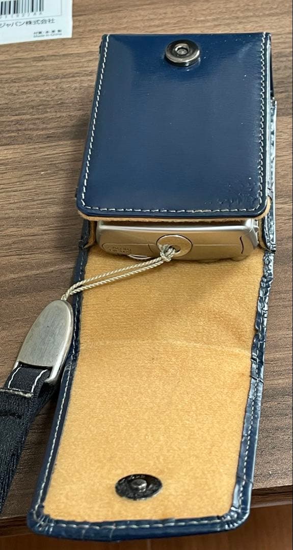 ⭐︎Canon IXY DIGITAL 810 IS シルバー　純正ソフトケース付