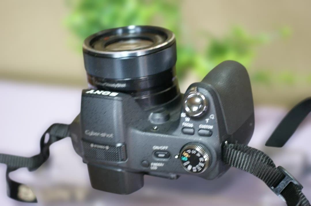 SONY　HX100V　絶好調　撮影簡単