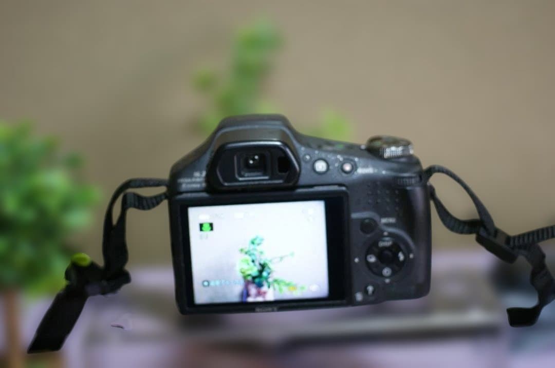 SONY　HX100V　絶好調　撮影簡単