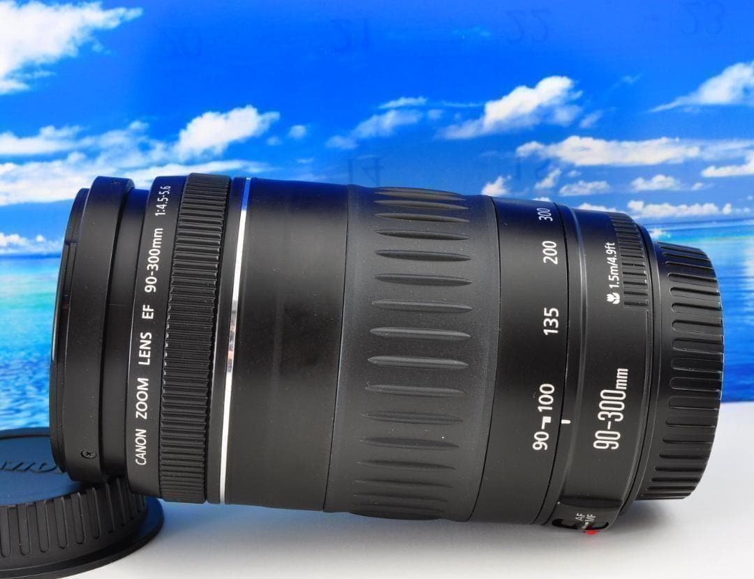 レンズが残す絆！ Canon キヤノン EF90-300mm 望遠レンズ#1
