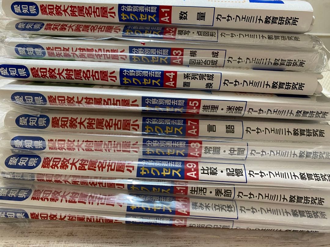 愛教大附属名古屋小学校　分野別過去問