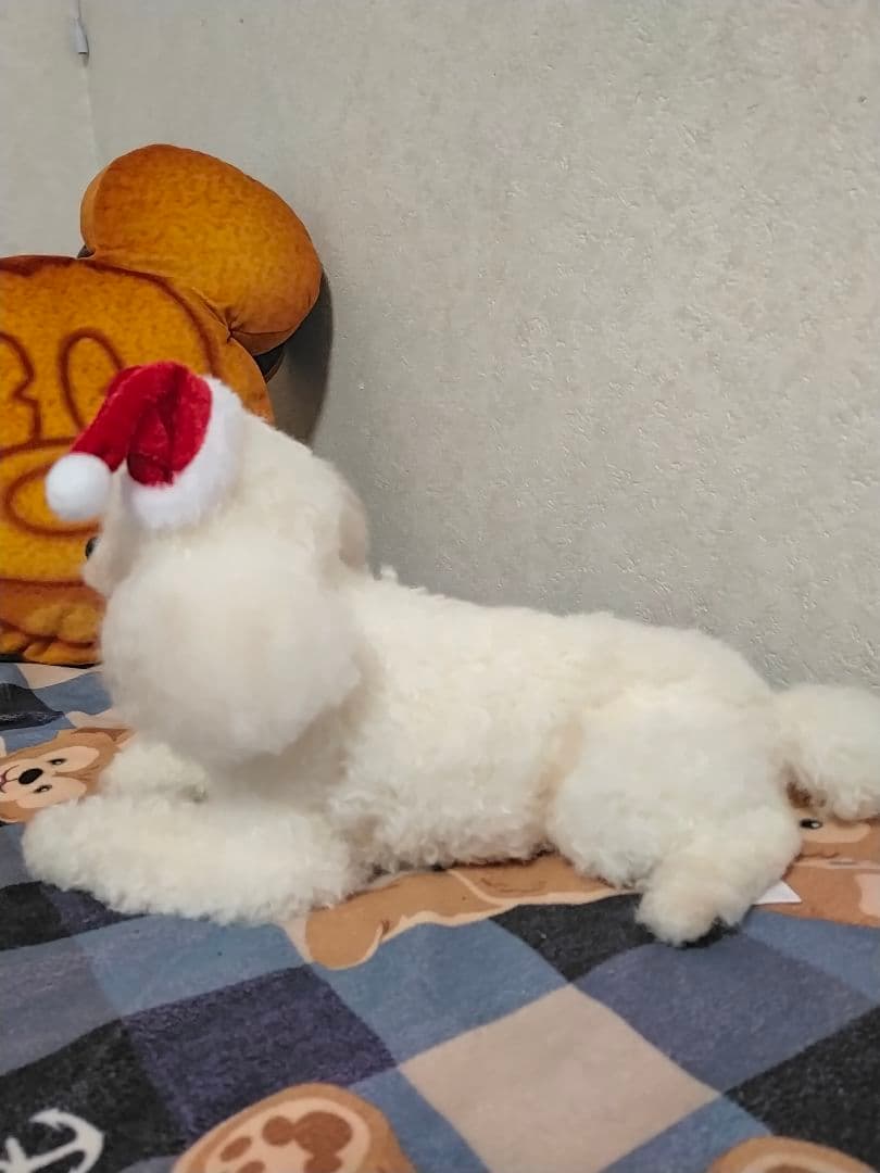 送料込み♡トイプードルちゃん。