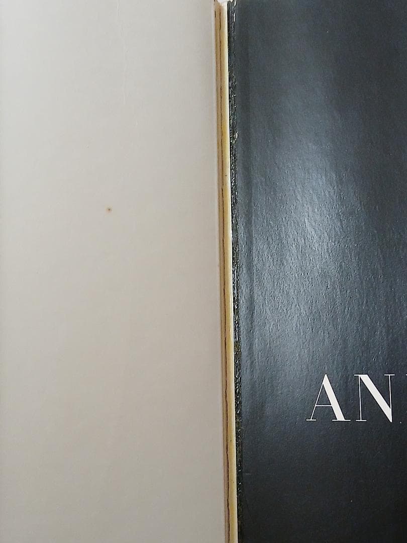 Annie Liebovitz Photographs, 1970-1990洋書